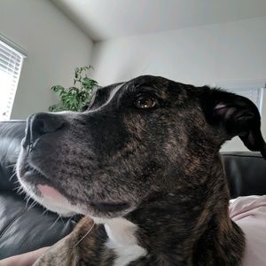 Meet your Posher, Lori